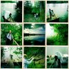  thumbtail - Denis Felix Photograph