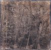 Gélatine pigmentaire sur plaque de verre 6mm -  thumbtail - Denis Felix Photograph