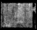  thumbtail - Denis Felix Photograph