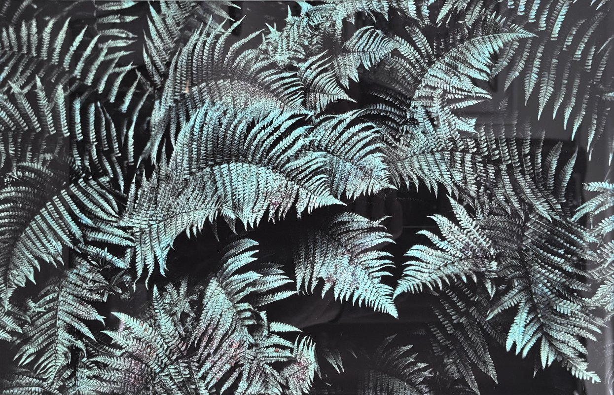 Pigment et encres sur plaque de verre 6mm - Denis Felix Photograph