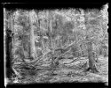  thumbtail - Denis Felix Photograph