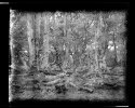  thumbtail - Denis Felix Photograph