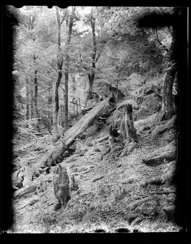 Denis Felix Photograph