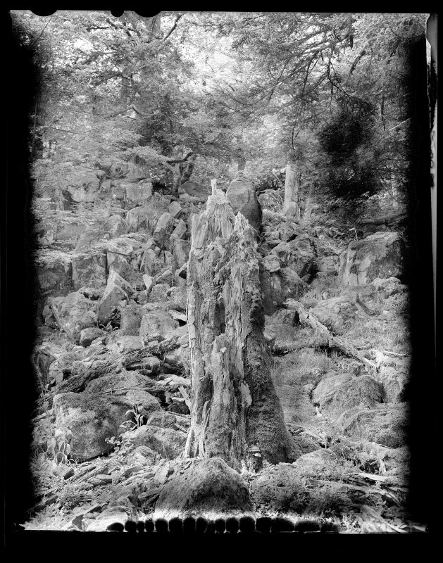 Denis Felix Photograph