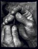 Jeannot . France -  thumbtail - Denis Felix Photograph