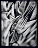 Compression . France -  thumbtail - Denis Felix Photograph