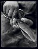 Vallée de l’Ourika - Valley of Ourika . Morocco . 1995 -  thumbtail - Denis Felix Photograph