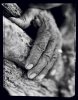 Vallée de l’Ourika - Valley of Ourika . Morocco . 1995 -  thumbtail - Denis Felix Photograph