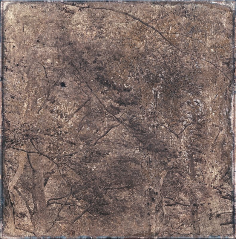 Gélatine pigmentaire sur plaque de verre 6mm - Denis Felix Photograph