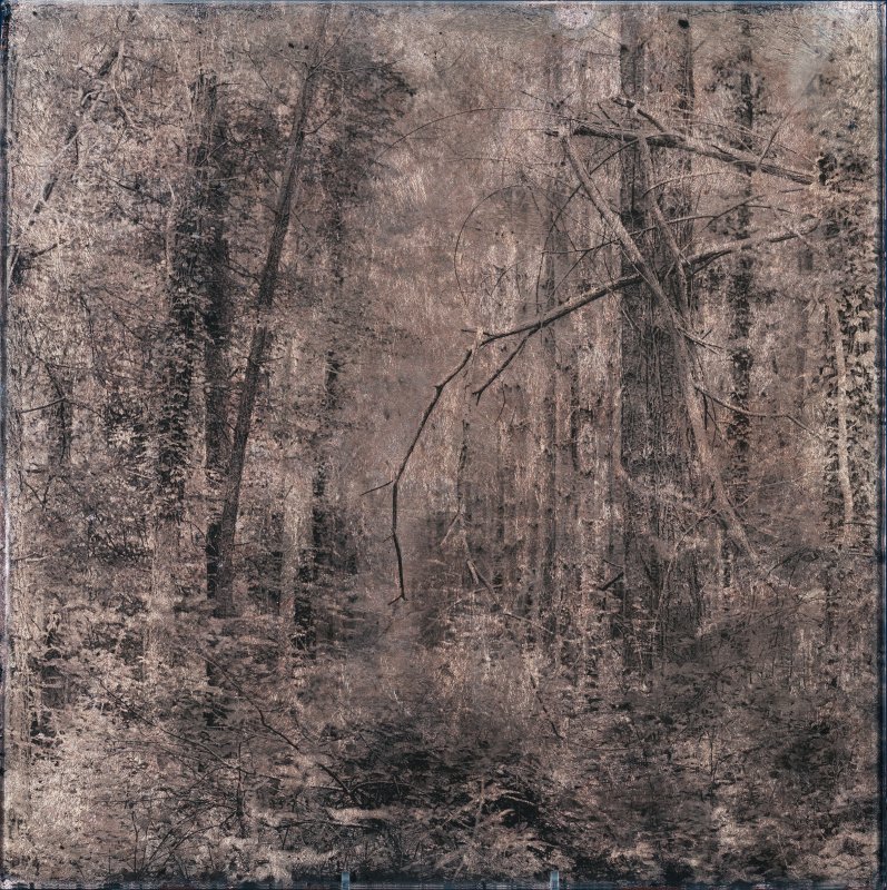 Gélatine pigmentaire sur plaque de verre 6mm - Denis Felix Photograph