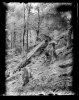  thumbtail - Denis Felix Photograph