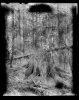  thumbtail - Denis Felix Photograph