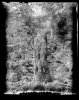  thumbtail - Denis Felix Photograph