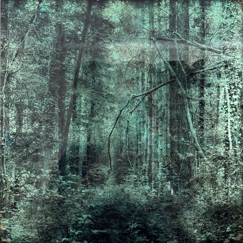 Pigment et encres sur plaque de verre 6mm - Denis Felix Photograph
