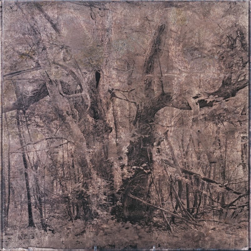 Gélatine pigmentaire sur plaque de verre 6mm - Denis Felix Photograph