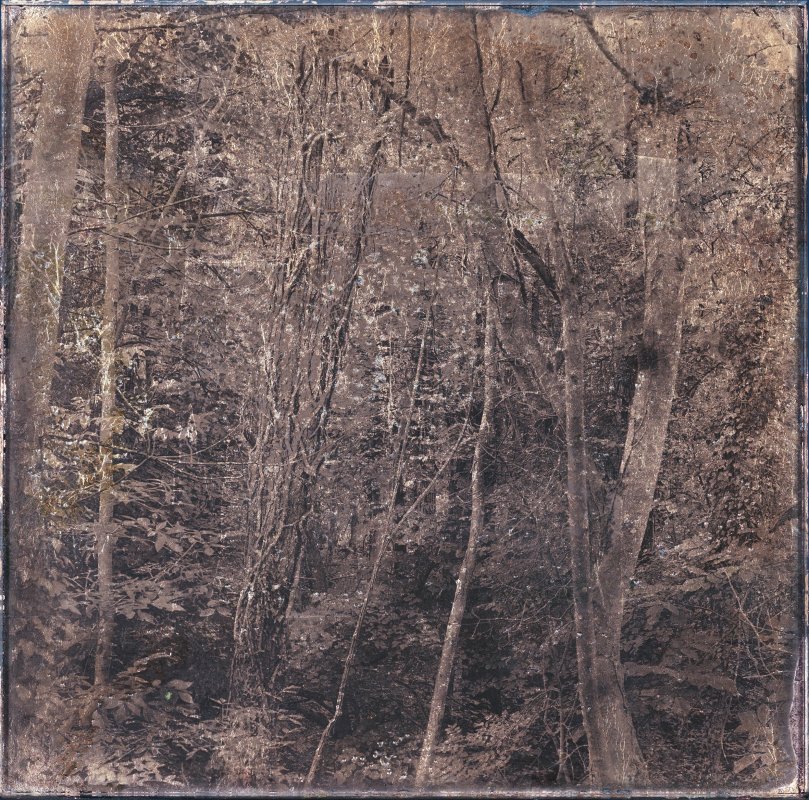 Gélatine pigmentaire sur plaque de verre 6mm - Denis Felix Photograph
