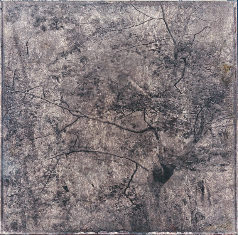 Gélatine pigmentaire sur plaque de verre 6mm - Denis Felix Photograph