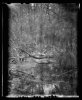  thumbtail - Denis Felix Photograph