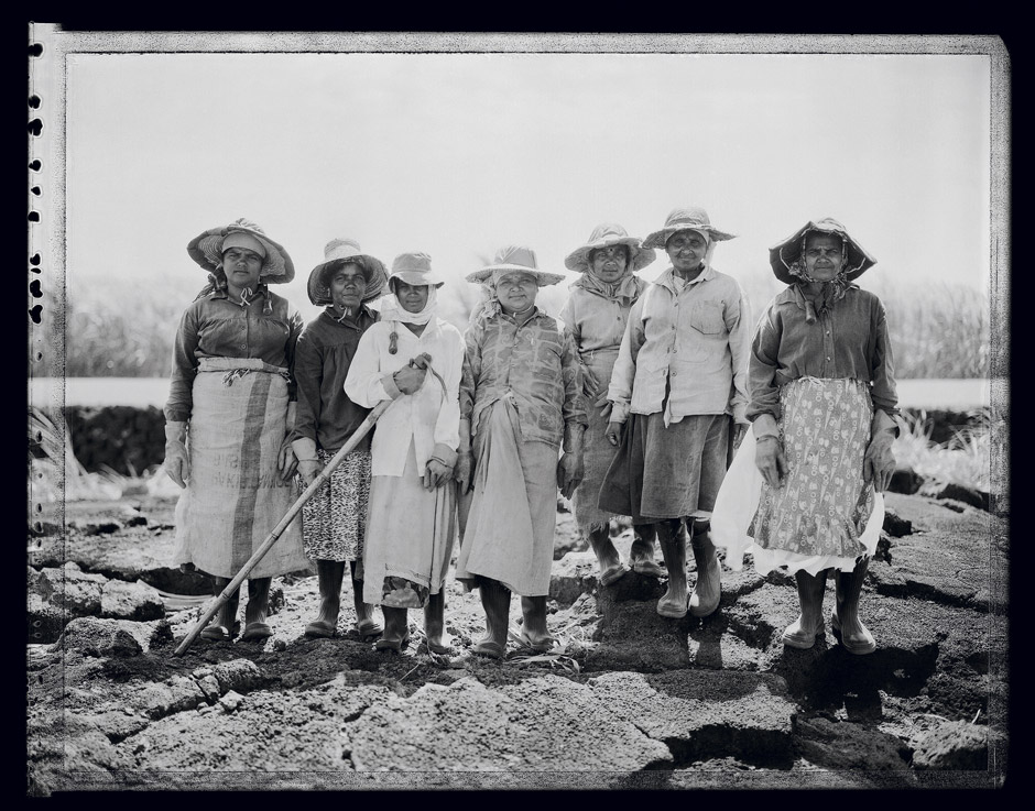 Coupeuses de cannes à sucre - Women with sugar-cane cutters . Mauritius . 1996 - Denis Felix Photograph