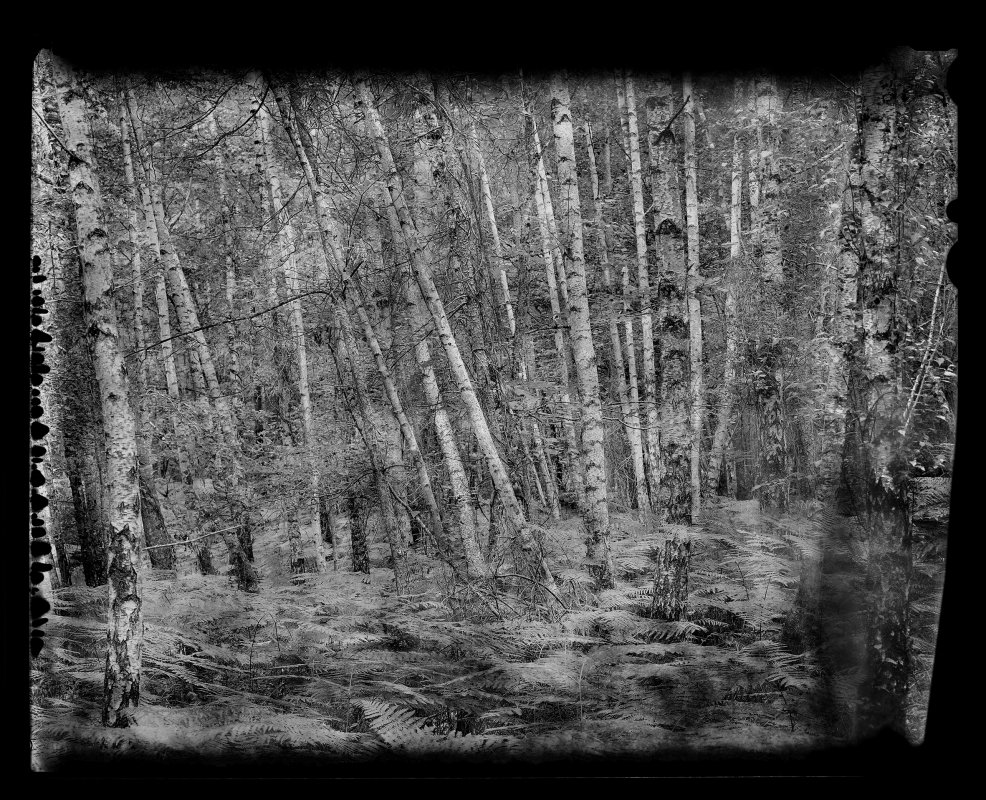 Denis Felix Photograph