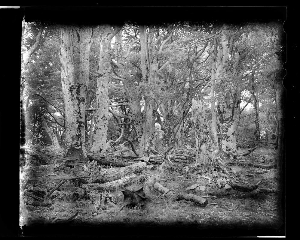 Denis Felix Photograph